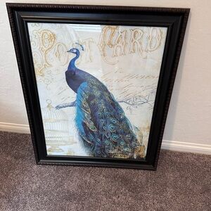 Peacock wallart